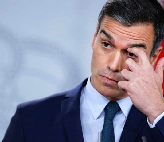 Más de 160.000 autónomos irán a la quiebra en los próximos meses al “ser abandonados por el Gobierno”